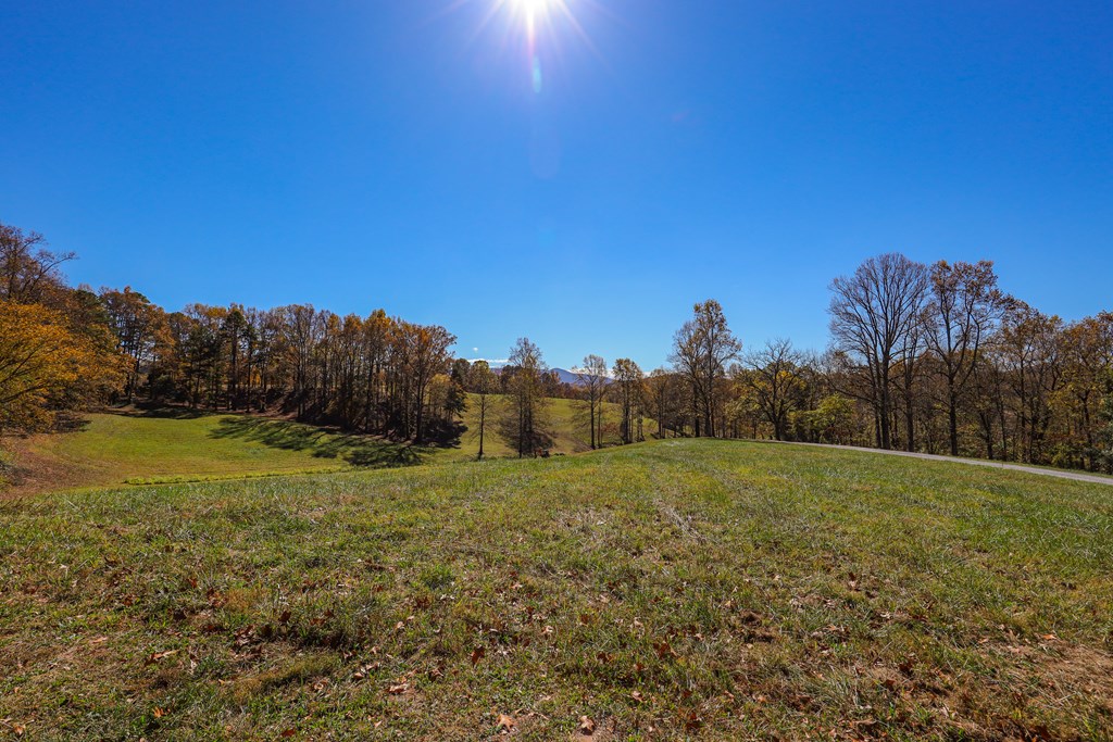 411493 Hayesville Land