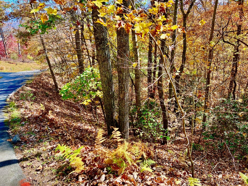 411507 Blairsville Land