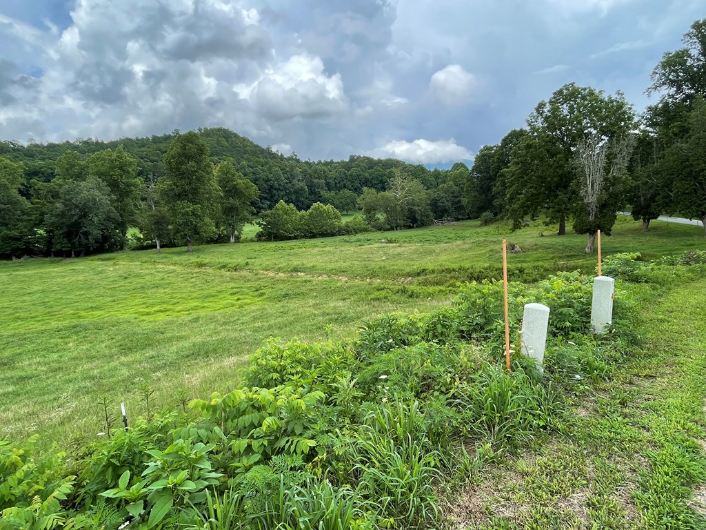 411527 Hayesville Land