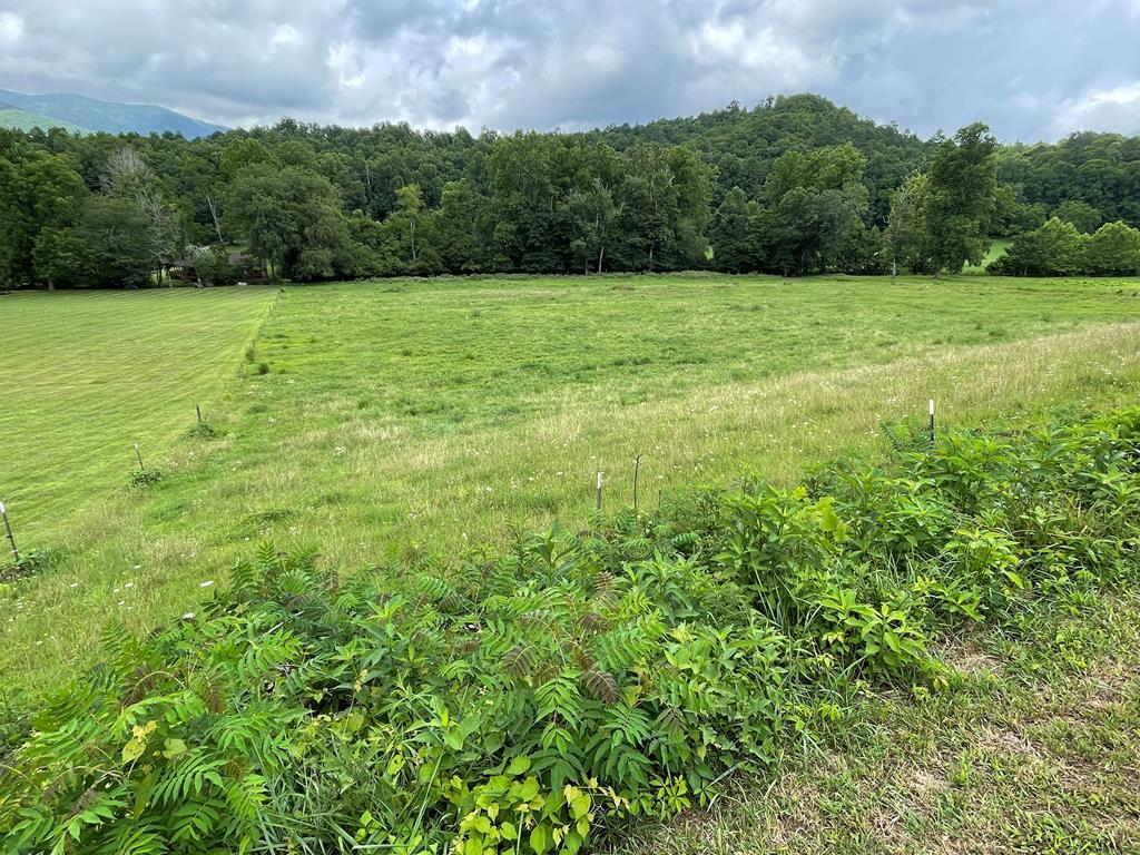 411527 Hayesville Land