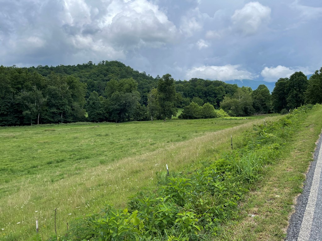 411527 Hayesville Land