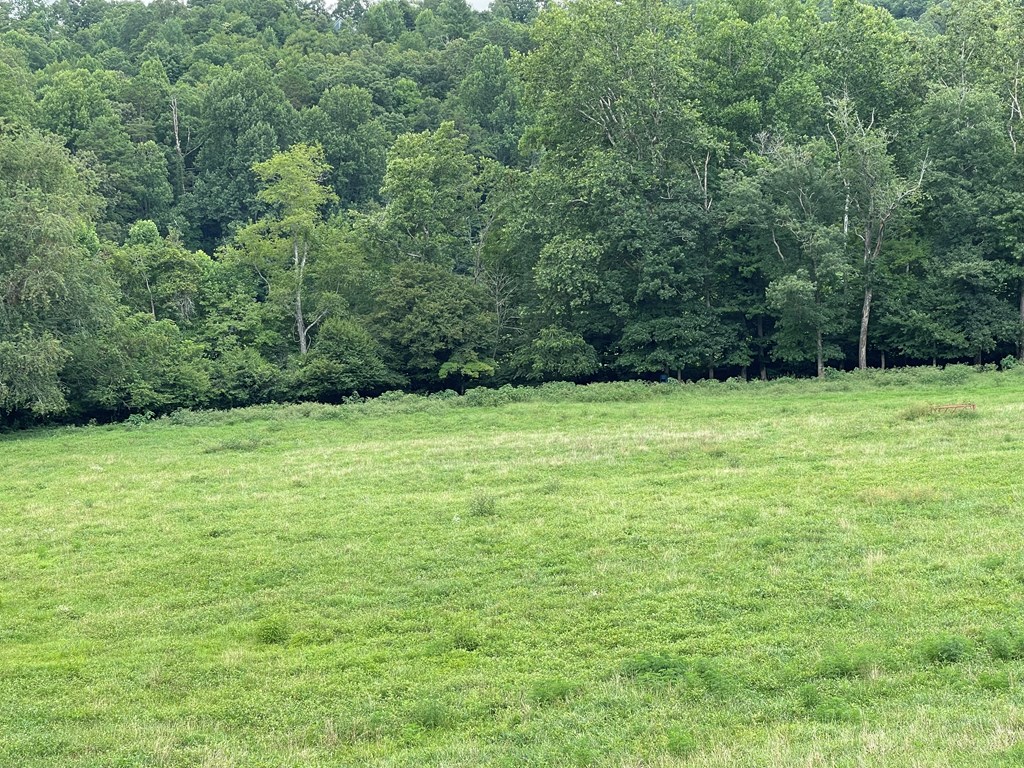 411527 Hayesville Land