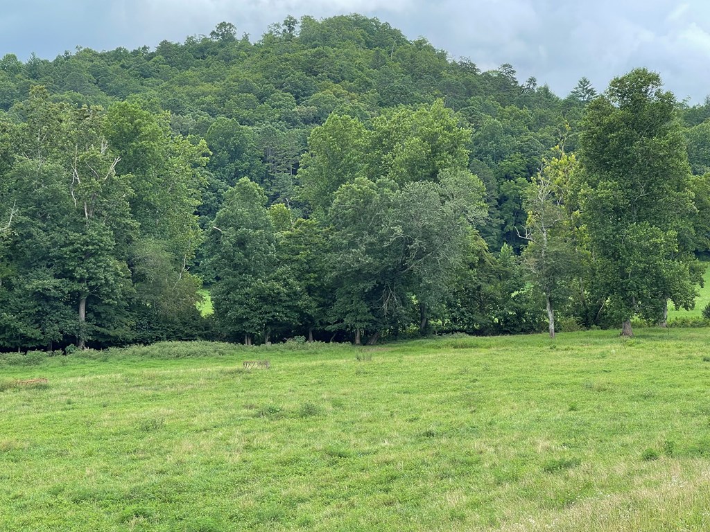 411527 Hayesville Land