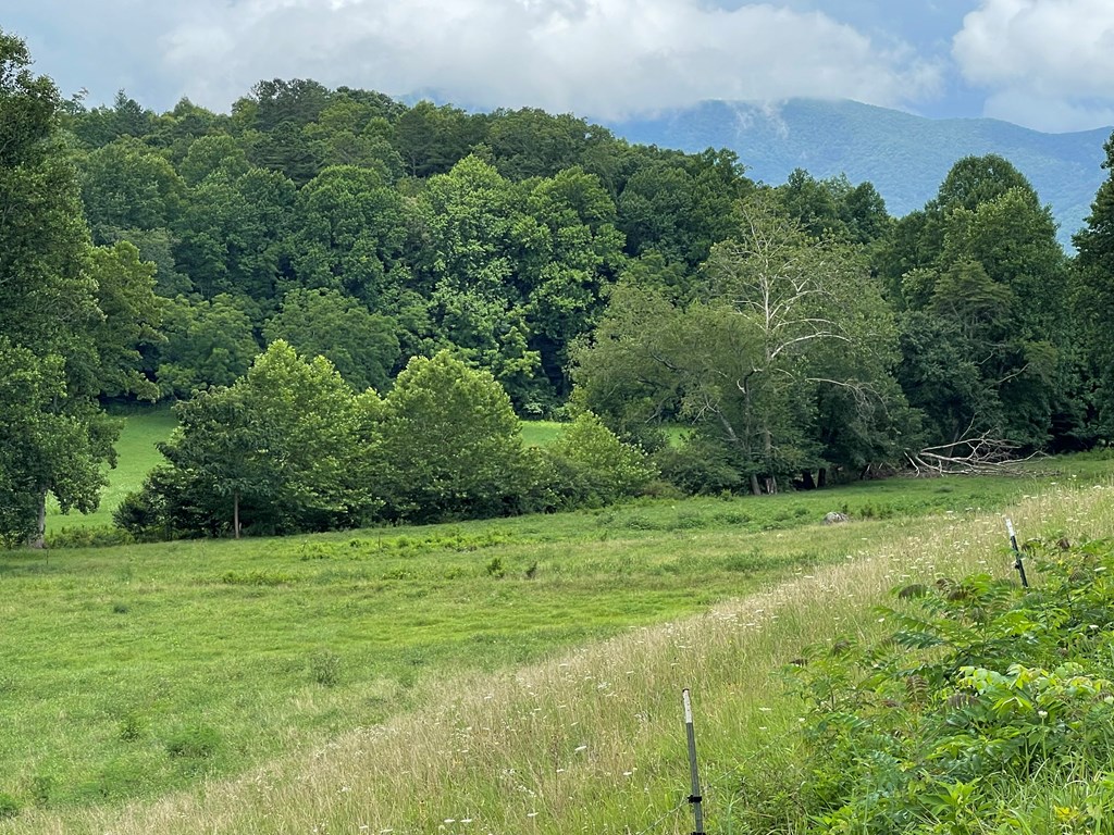 411527 Hayesville Land