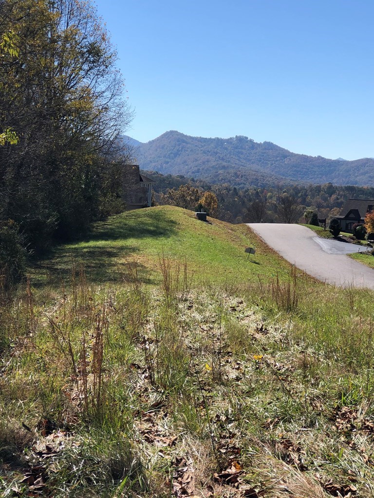 411553 Hayesville Land