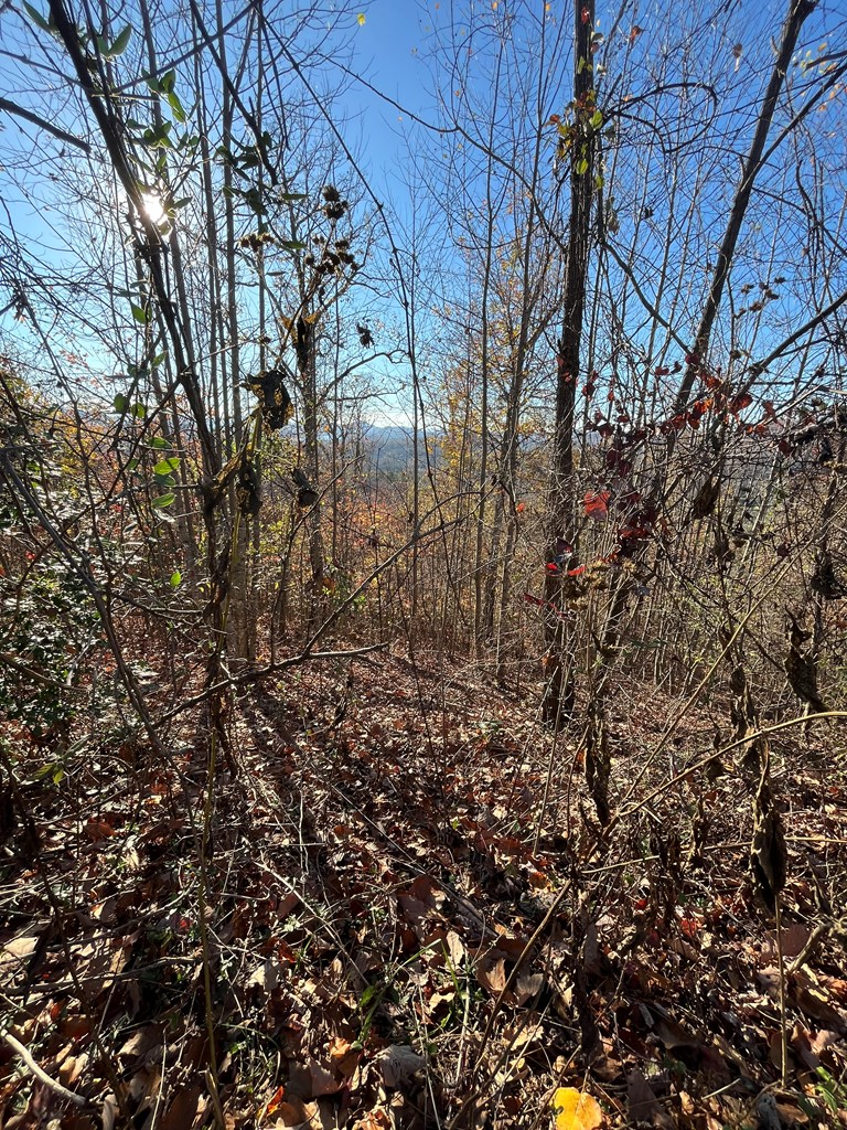 411555 Hayesville Land