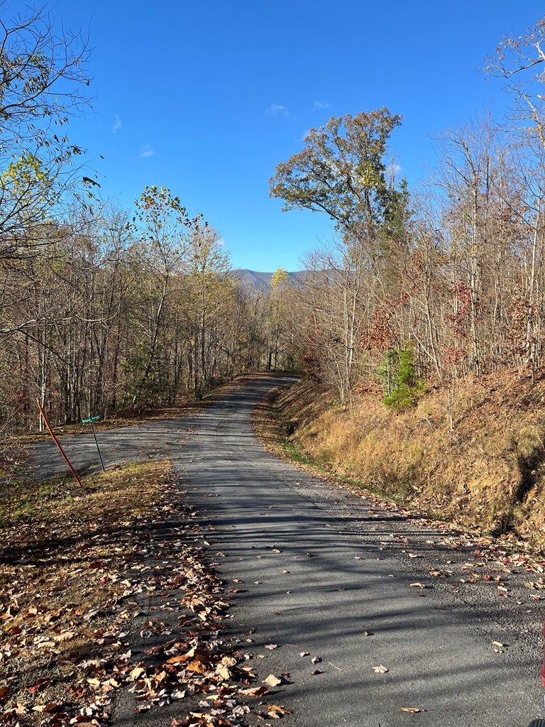 411555 Hayesville Land