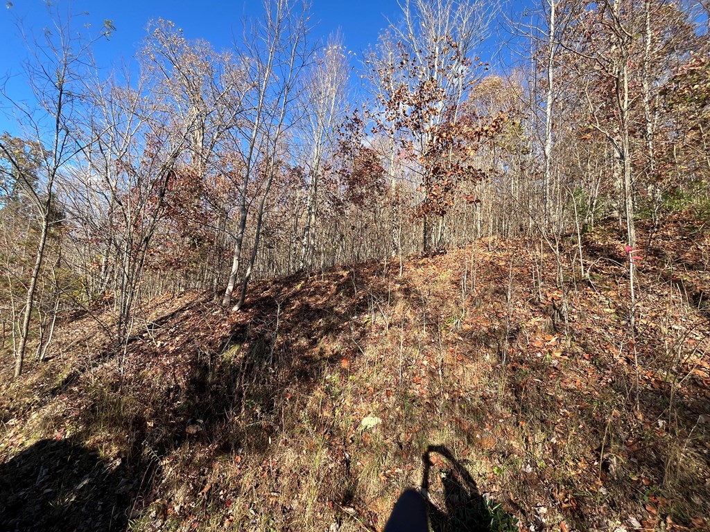 411555 Hayesville Land
