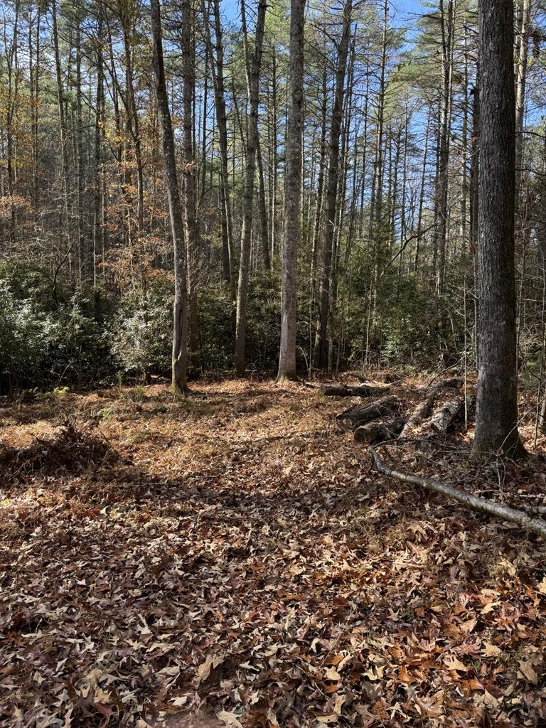 411572  Land