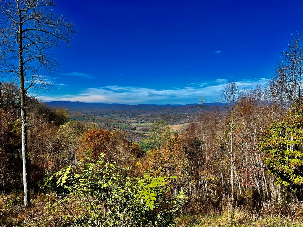 411593 Brasstown 