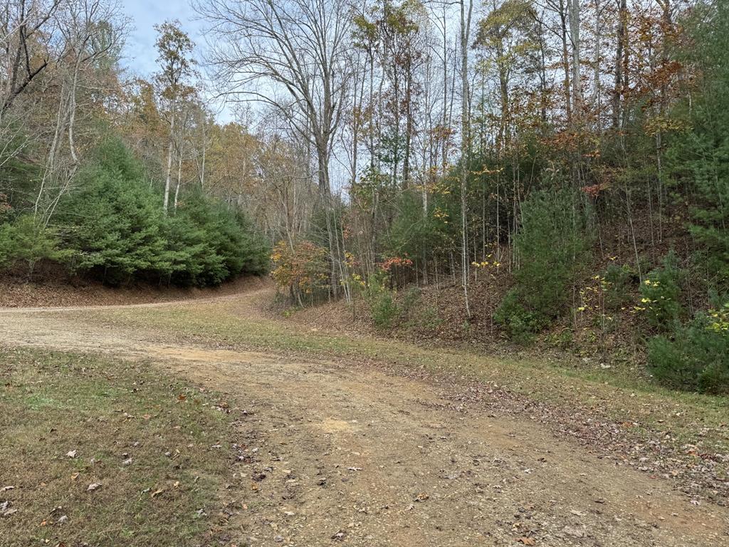 411603  Land