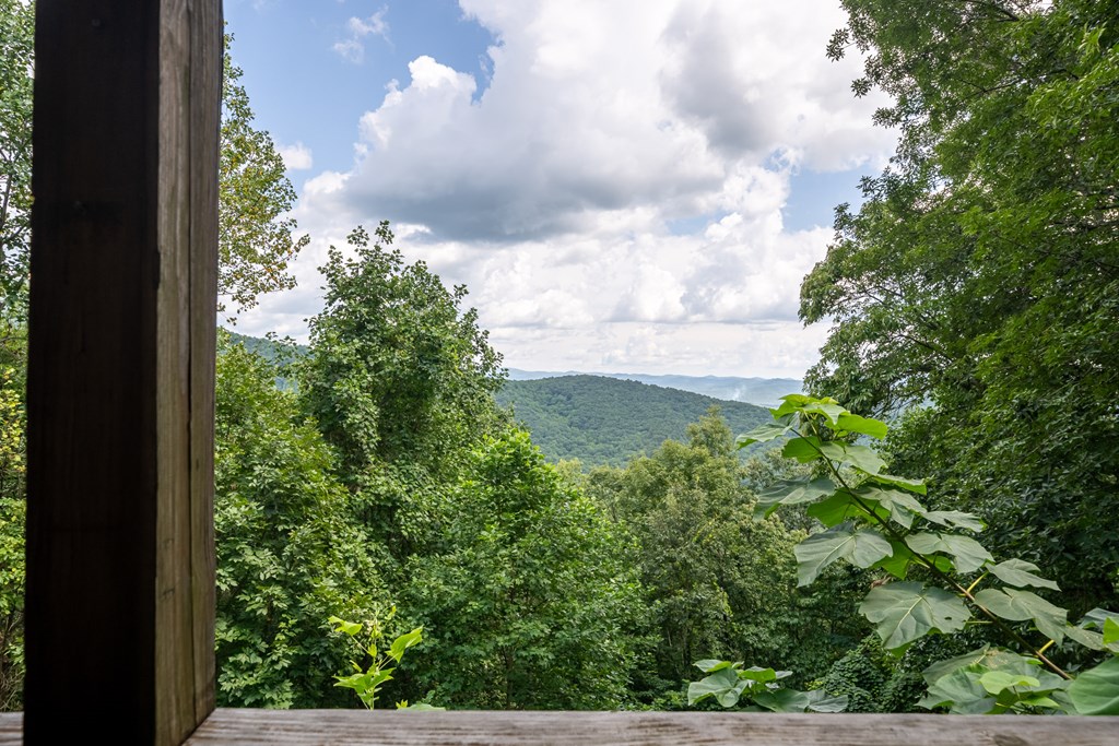 411612 Ellijay Residential