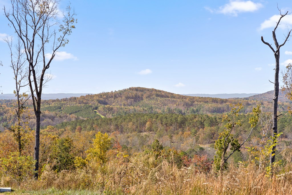 411641 Talking Rock Land