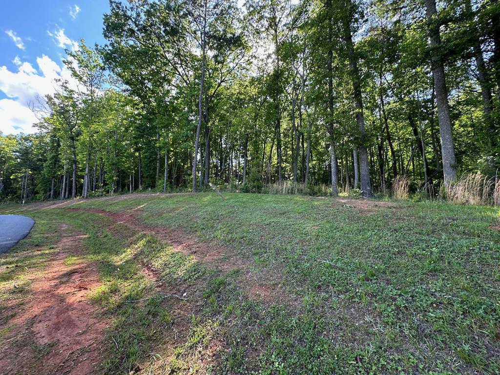 411643  Land
