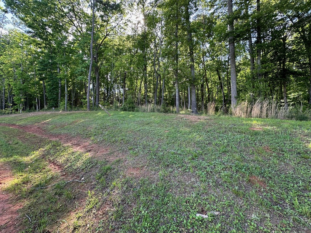 411643 Blairsville Land