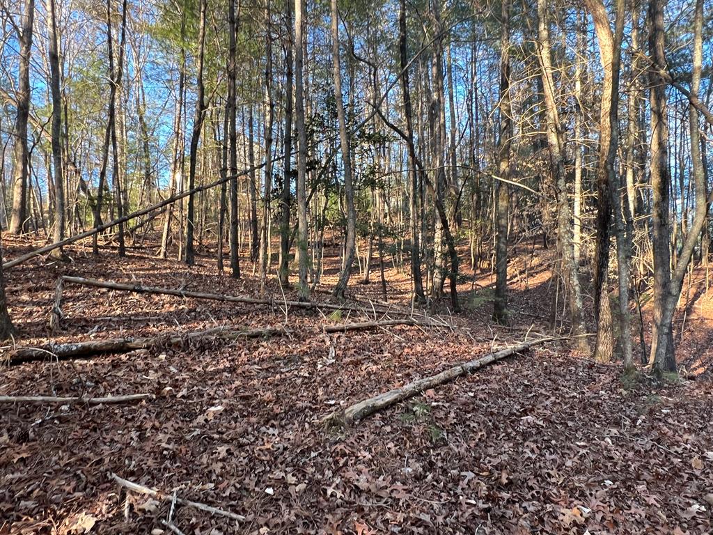 411673 Ellijay Land
