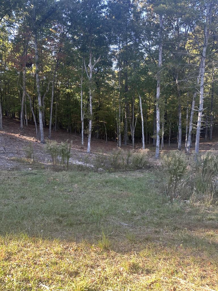 411674  Land