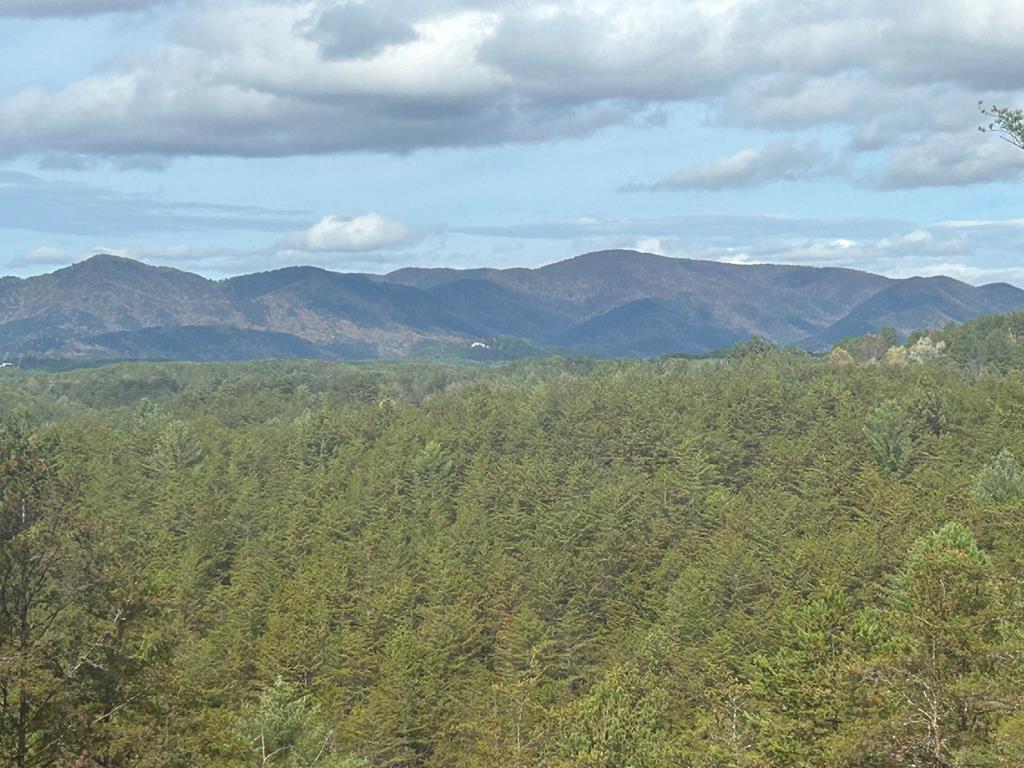 411677  Land