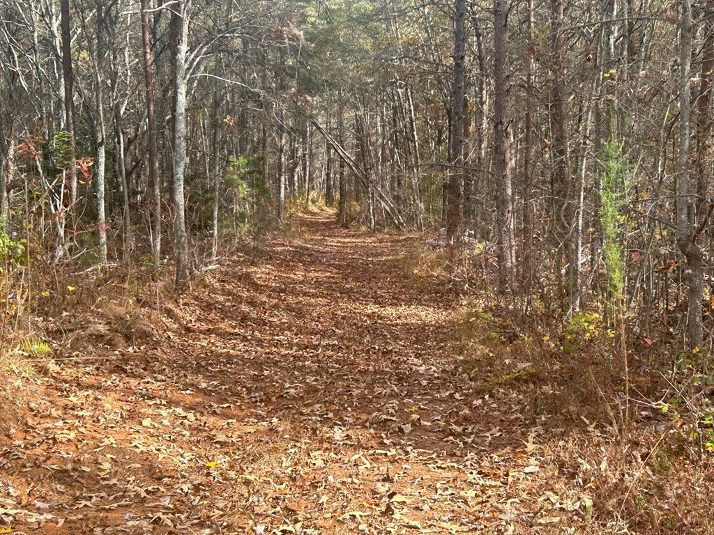 411677 Copperhill Land