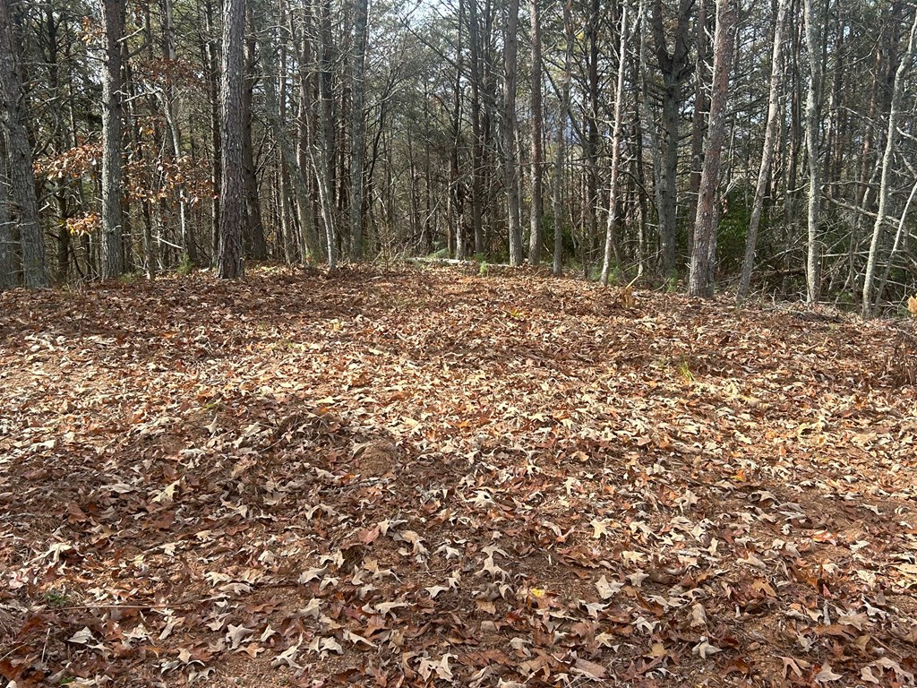 411677 Copperhill Land