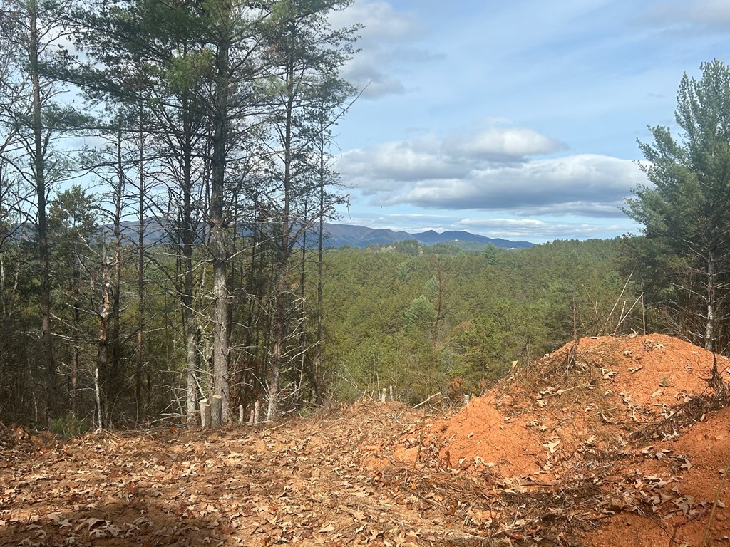 411677 Copperhill Land
