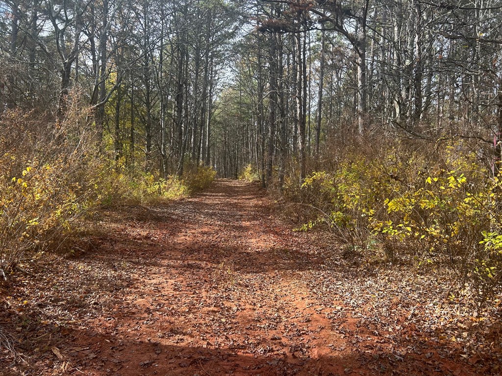 411677 Copperhill Land