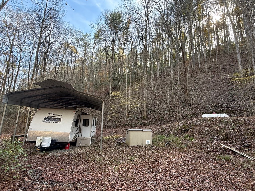 411679 Ellijay Land