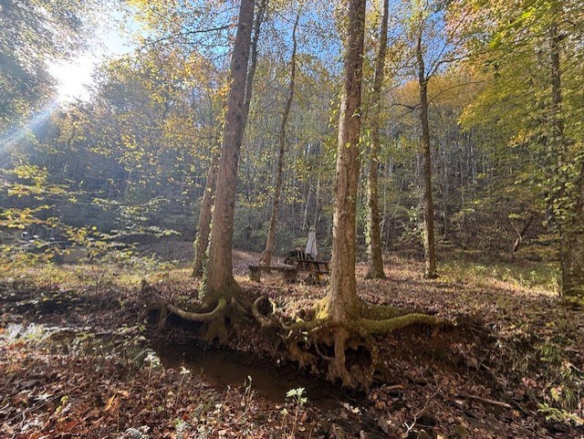 411679 Ellijay Land
