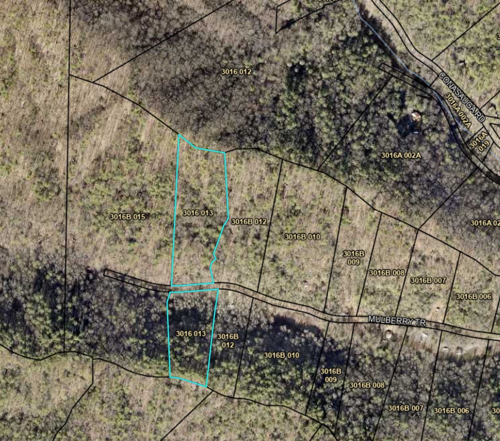 411679 Ellijay Land