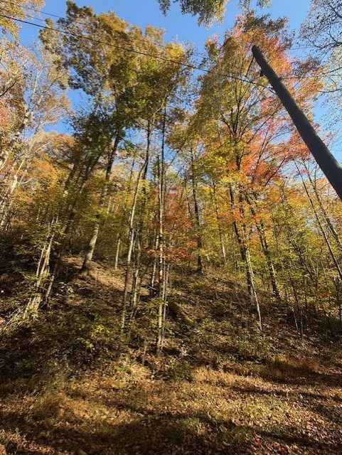 411679 Ellijay Land