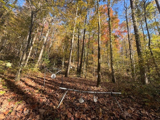 411679 Ellijay Land