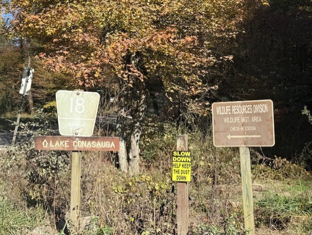 411679 Ellijay Land