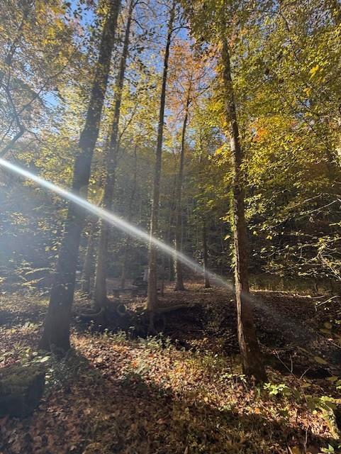 411679 Ellijay Land