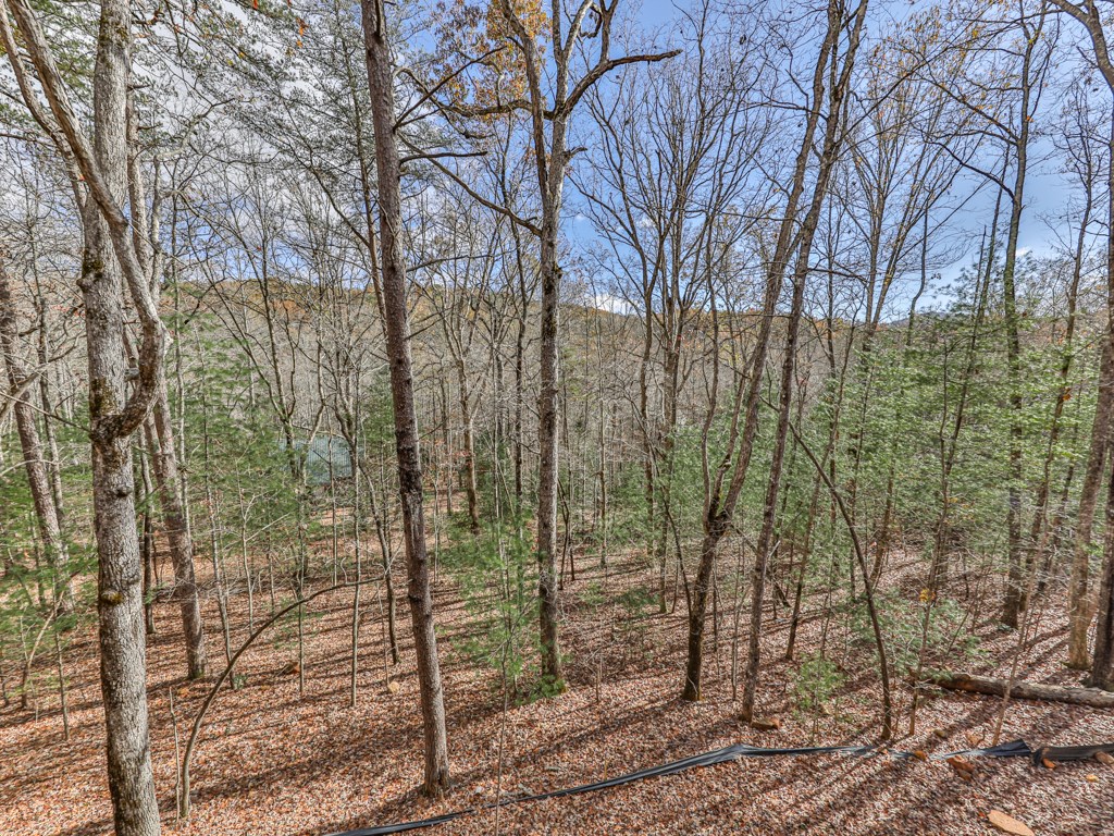 411694 Blue Ridge Residential
