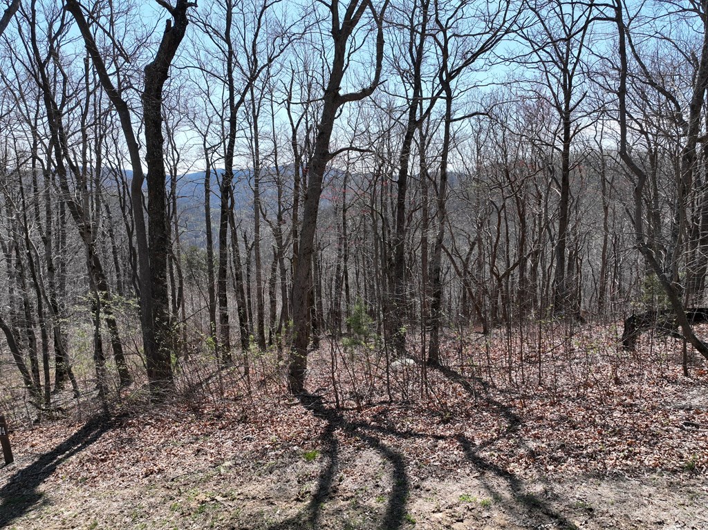 411702 Ellijay Land