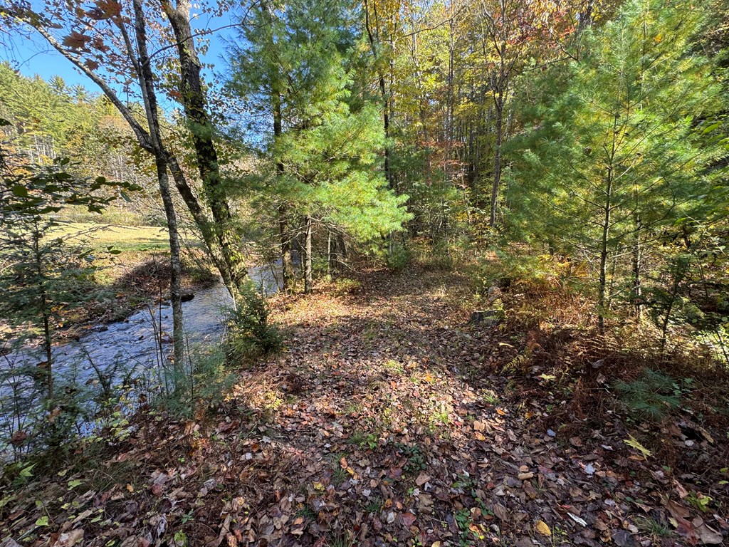 411710 Cherry Log Land