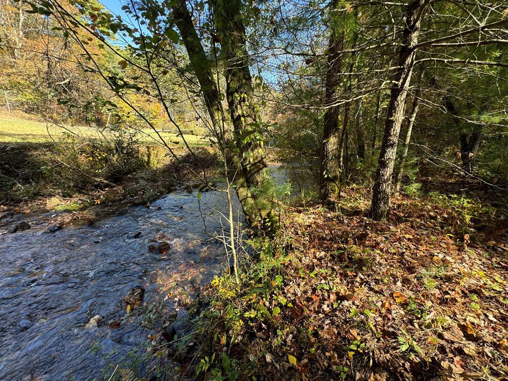 411710 Cherry Log Land