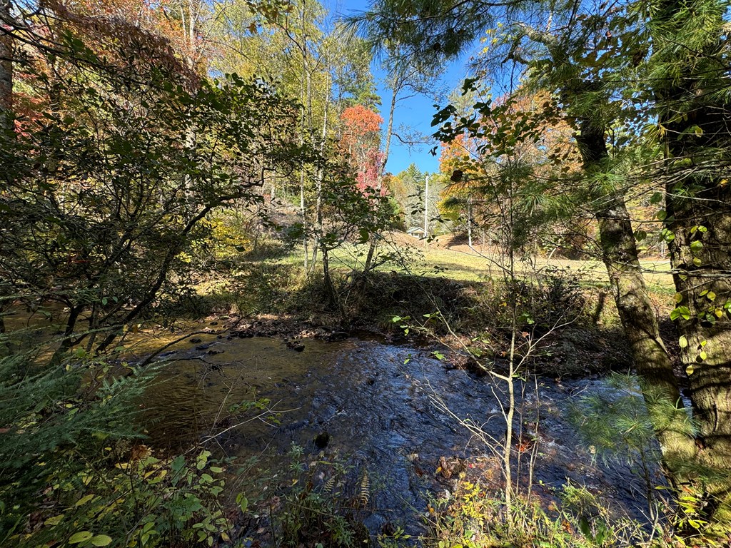 411710 Cherry Log Land
