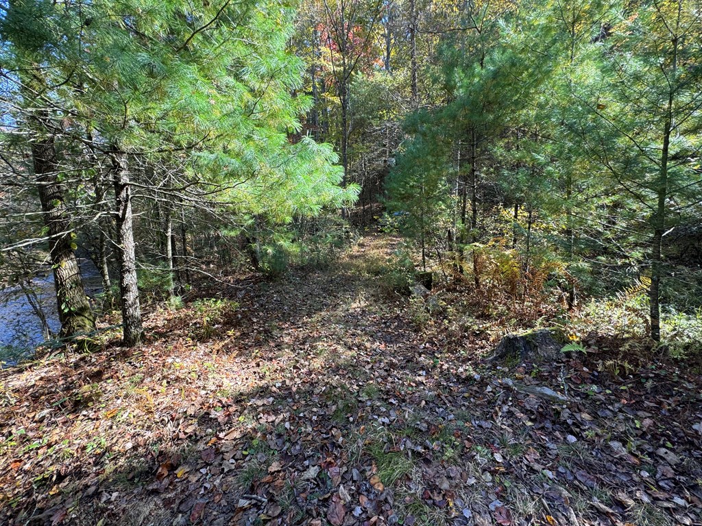 411710 Cherry Log Land