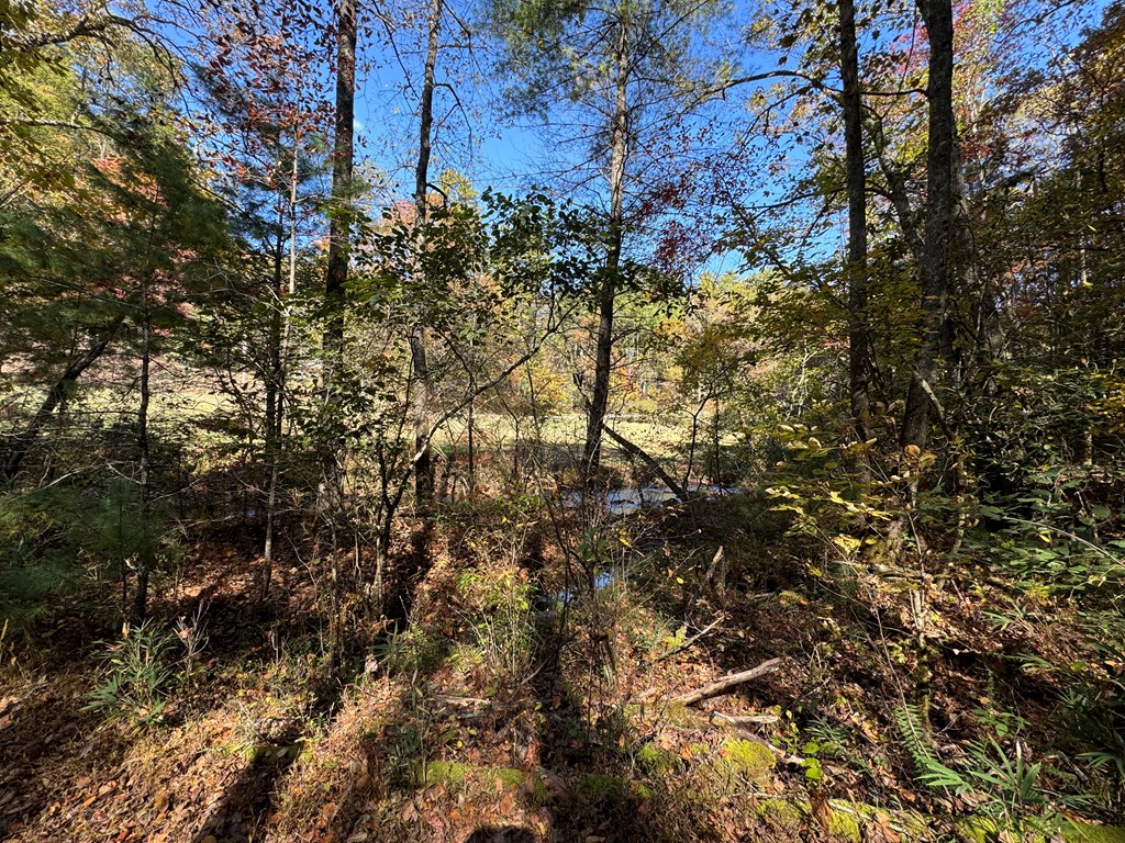 411710 Cherry Log Land