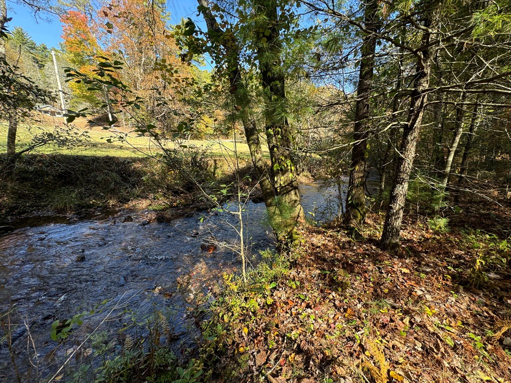411710 Cherry Log Land