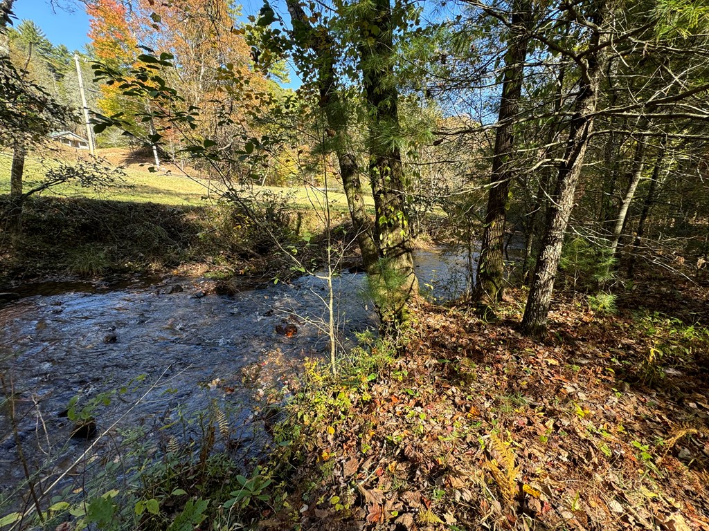 411710 Cherry Log Land