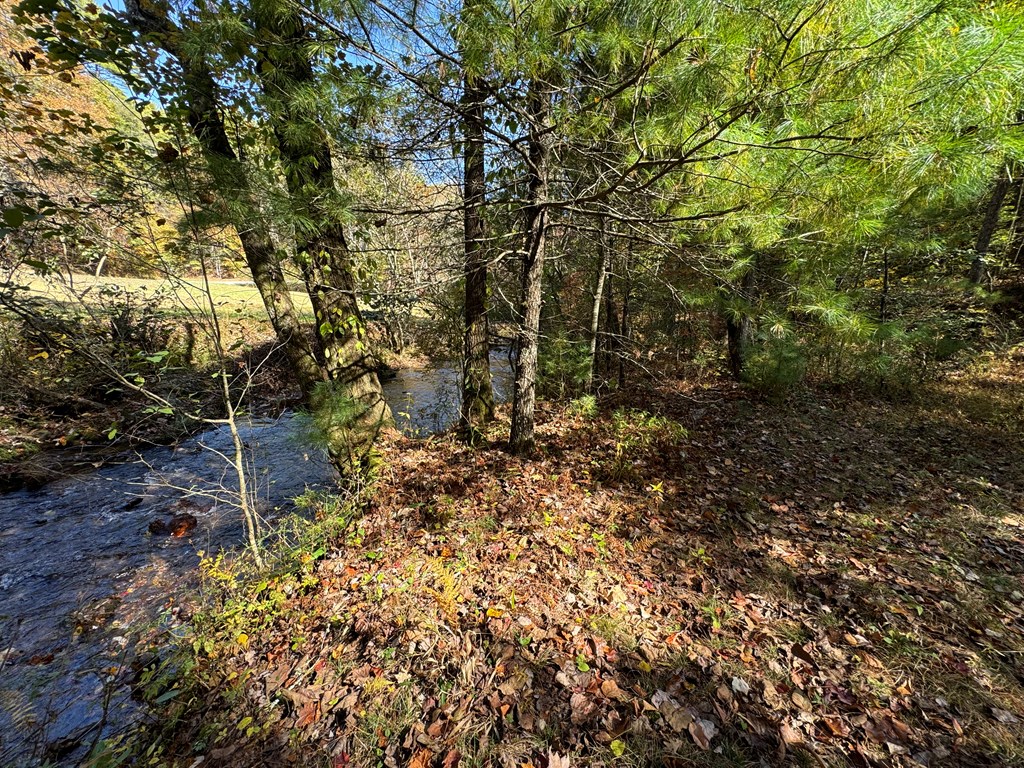 411710 Cherry Log Land