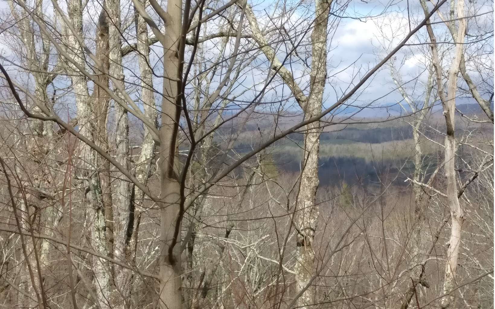 411725 Ellijay Land