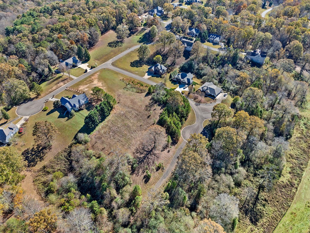411741 Ellijay Land