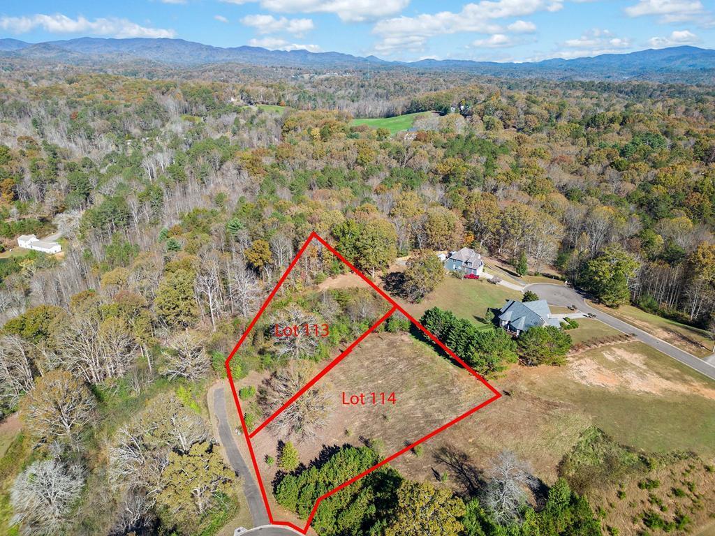 411741 Ellijay Land