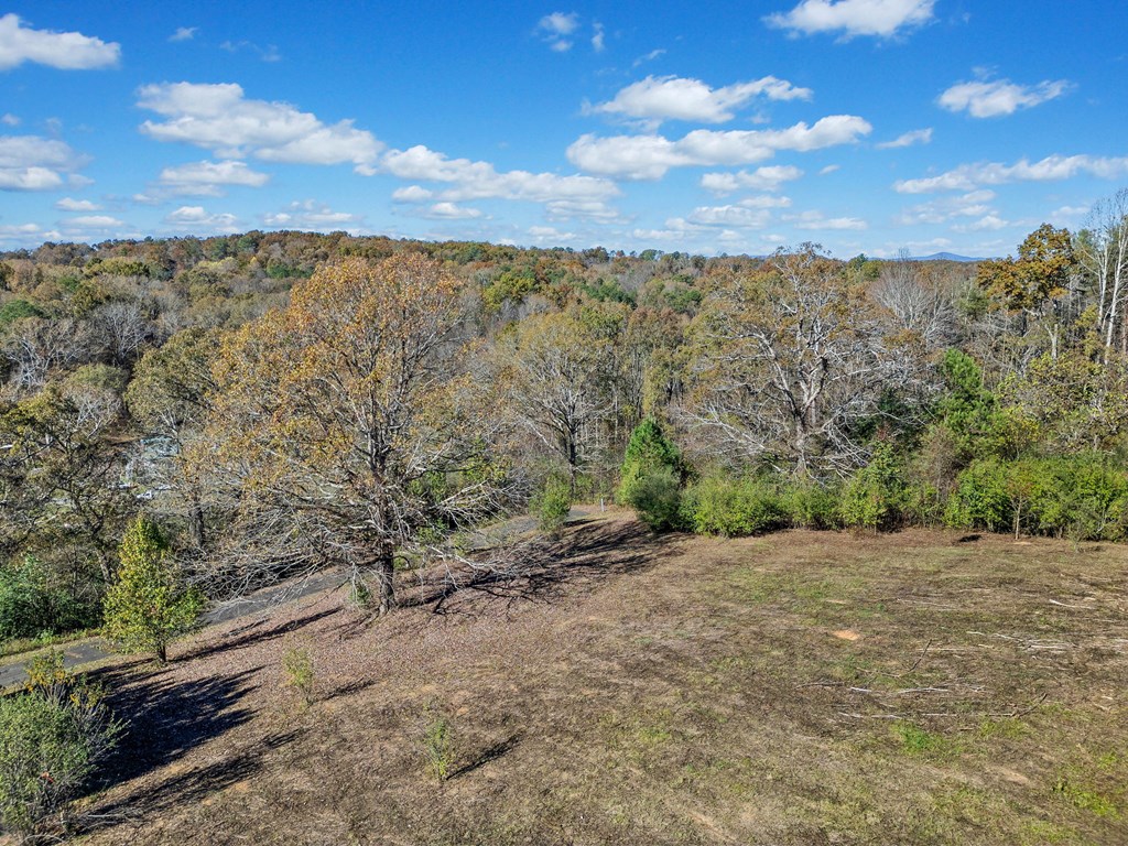 411741 Ellijay Land