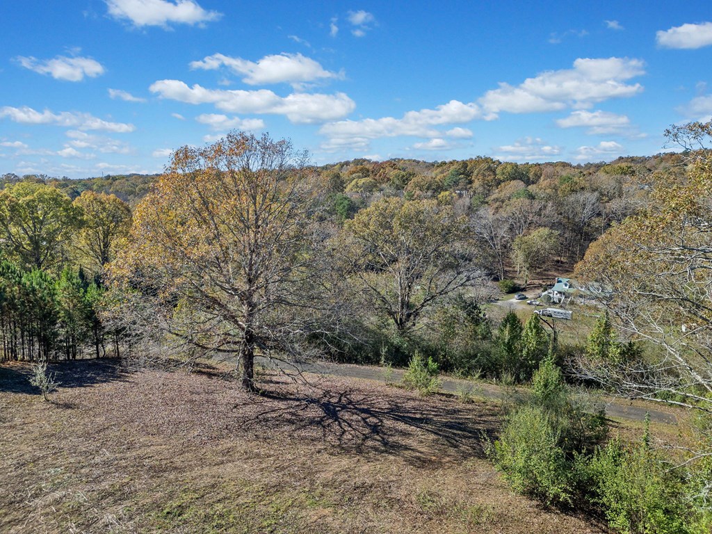 411741 Ellijay Land