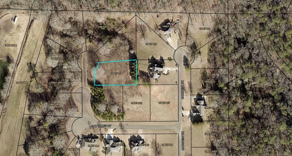 411741 Ellijay Land