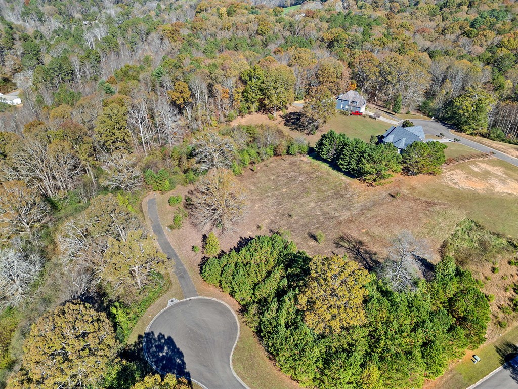 411741 Ellijay Land